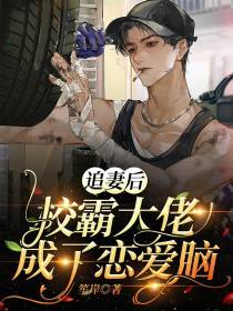 追妻后,校霸大佬成了恋爱脑