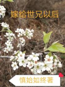 嫁给世兄以后
