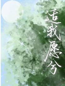适我愿兮