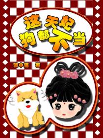 这天妃狗都不当