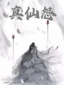 真仙怨