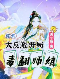 综武大反派：开局毒翻师娘