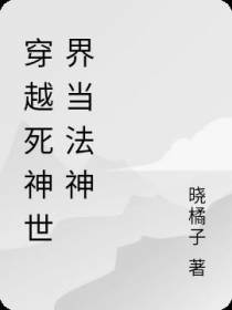 穿越死神世界当法神