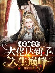 拐走仙妻后,大佬达到了人生巅峰