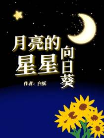 月亮的星星向日葵