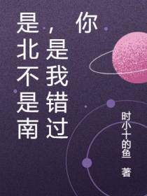 是北不是南,是我错过你