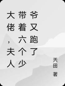 大佬,夫人带着六个少爷又跑了