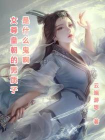 女尊皇朝的男质子是什么鬼啊