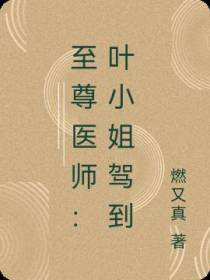 至尊医师：叶小姐驾到