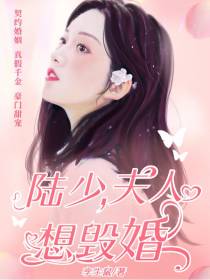 陆少,夫人想悔婚！