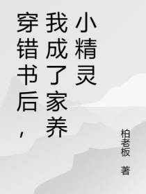 穿错书后,我成了家养小精灵