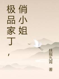 极品家丁,俏小姐