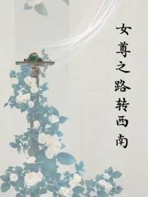 女尊之路转西南