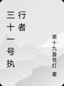 三十一号执行者