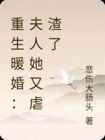 重生暖婚：夫人她又虐渣了
