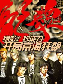 综影：钞能力,开局京海狂飙