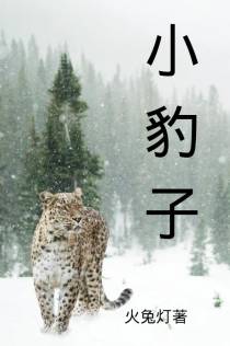 小豹子