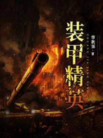 装甲精英