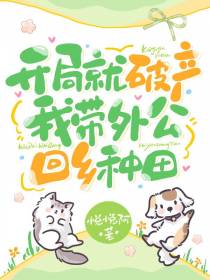 开局就破产：我带外公回乡种田