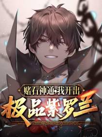 赌石神通,我开出极品紫罗兰