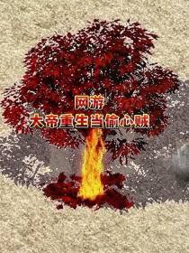 网游：大帝重生当偷心贼