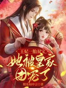 王妃一胎双宝,她被皇家团宠了