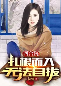 四合院：扎根而入,无法自拔