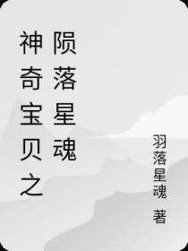 神奇宝贝之陨落星魂