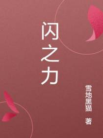 闪之力