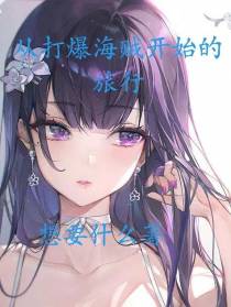 从打爆海贼开始的旅行