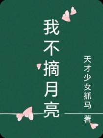 我不摘月亮