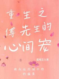 重生之傅先生的心尖宠