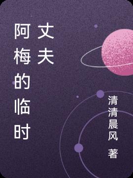 阿梅的临时丈夫