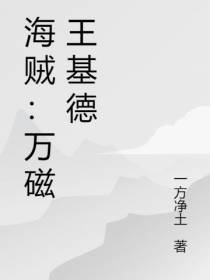 海贼：万磁王基德