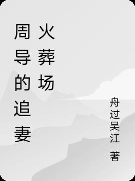 周导的追妻火葬场