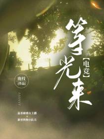 等光来【电竞】