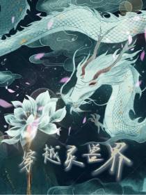 穿越灵兽界