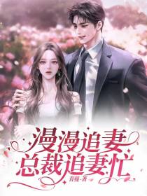 漫漫追妻,总裁追妻忙