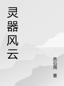 灵器风云