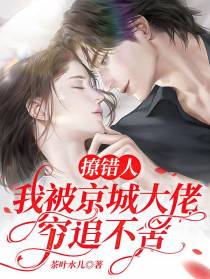 撩错人,我被京城大佬穷追不舍