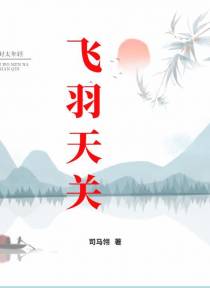 飞羽天关
