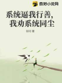 身为反派的我,有一个正派系统