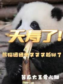 夭寿了！熊猫团团他又又又越狱了