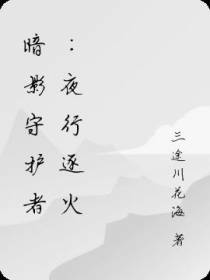 暗影守护者：夜行逐火