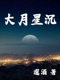 大月星沉