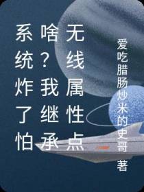 系统炸了怕啥？我继承无限属性点