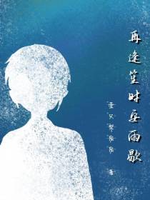 再逢笙时安雨歇