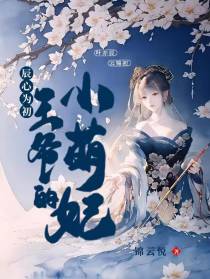 辰心为初：王爷的小萌妃