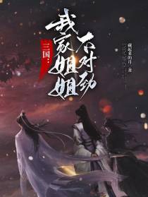 三国：我家姐姐不对劲