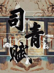 司青赋